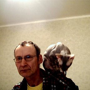 Фотография "Я и наш хозяин ЗЛАТ.
Порода донской сфинкс, иногда позволяет нам заниматься чем-либо, кроме его персоной..."