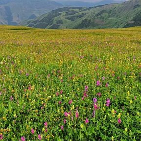 Фотография от Артур Джабраилов