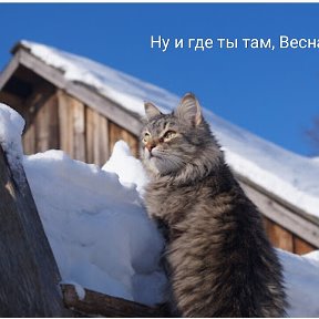 Фотография от ღ♥Евгения Викторовна♥ღ