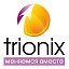 Компания Трионикс