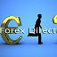 Forex Videos