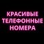 Красивый Номер 8-901-019-19-19