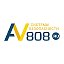 Компания AV808