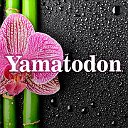 Yamatodon - японские товары