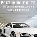 Автомобильные Чехлы