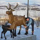 Алексей Волков