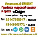 Приёмка кедровой шишки и ореха КЕДР