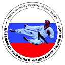 TAEKWONDO VYAZMA