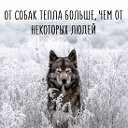 Татьяна Фокина