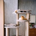 ((Кошкин)) (Дом)мебель для животных