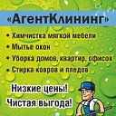 Агент Клининг