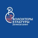 Волонтеры Культуры Домодедово