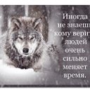 🐺(волк) 🎵🎵🎵