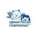 Единая Россия Туркменское МО