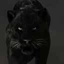 Black Panther