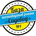 Рассылка ЛЮКС Лира Пятигорск