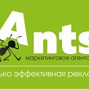 ANTS Маркетинговое агентство