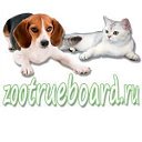 zootrueboard ru