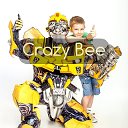 Crazy Bee