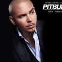 Mister Pitbull 2015