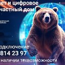 Интернет и ТВ от Сибирского Медведя