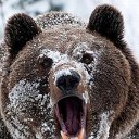 Алексей Медведь
