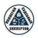 Коллегия Судебных Экспертов