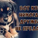 Живу♥В♥ Твоём Сердце