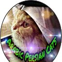 Arabic Persian Cat