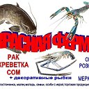 Красная Аква Ферма