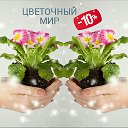 Цветочный Мир (Комнатные растения)