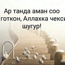 мусульман кыз шугур