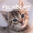 Felix Bcats