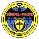 SRL VIMPEL PROFI Охранная организация