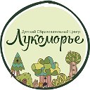 Детский Центр ЛУКОМОРЬЕ САХАЛИН