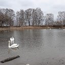 Валя Полонейчик