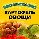 Картофель Овощи советская 176