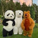 Медведь И Панда Александров