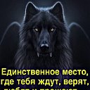 александр волков