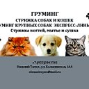 ЛЕНА 89222043541 Стрижка собак и кошек