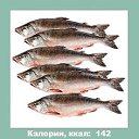 РЫБА КРАСНАЯ ИКРА КРАСНАЯ