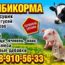 комбикорм североуральск