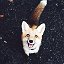 Space Fox