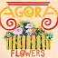 AGORA FLOWERS