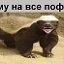 пятигоскях ву со пятигоркях ву со 