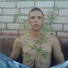 Малышев Дмитрий Ярославль