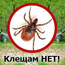 Красноярская Проф Дезинфекция