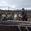 Андрей Филиппов