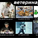 Михаил Корнев Ветеринарный Хирург