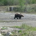 Александр Базулев